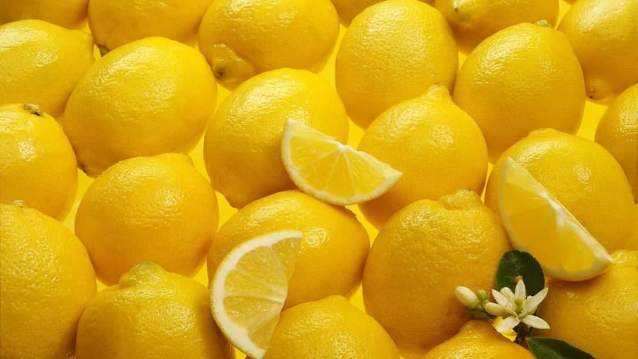 لیمو ترش سنگی سلطان لیمو های آبدار جنوب
